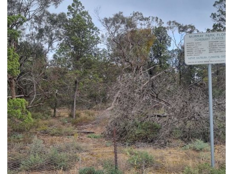 83 Thomas Street, Murray Bridge SA 5253