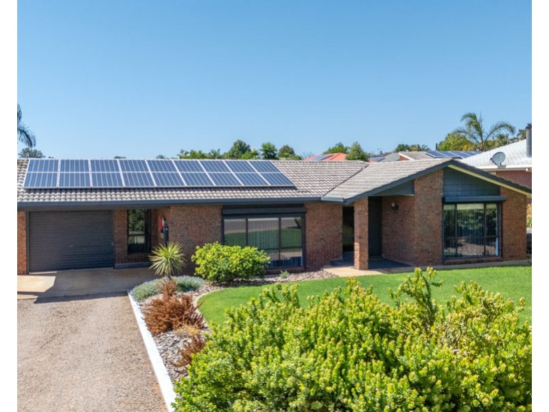 13 Williams Grove, Murray Bridge SA 5253