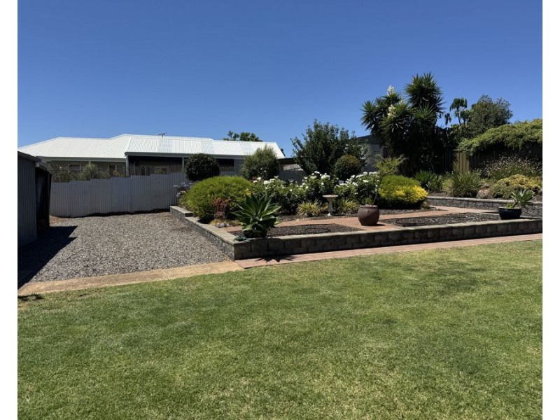 13 Williams Grove, Murray Bridge SA 5253