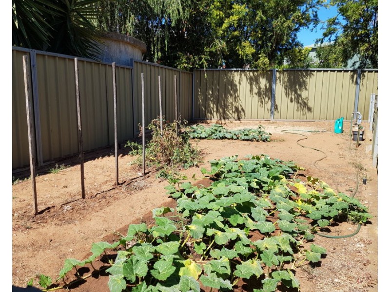 35 Tumbella Drive, Murray Bridge SA 5253