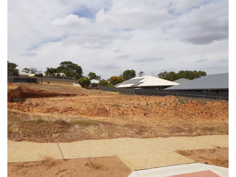 11 Sheoak Link, Murray Bridge SA 5253