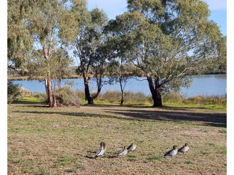 111 Murray Drive, Riverglades SA 5253