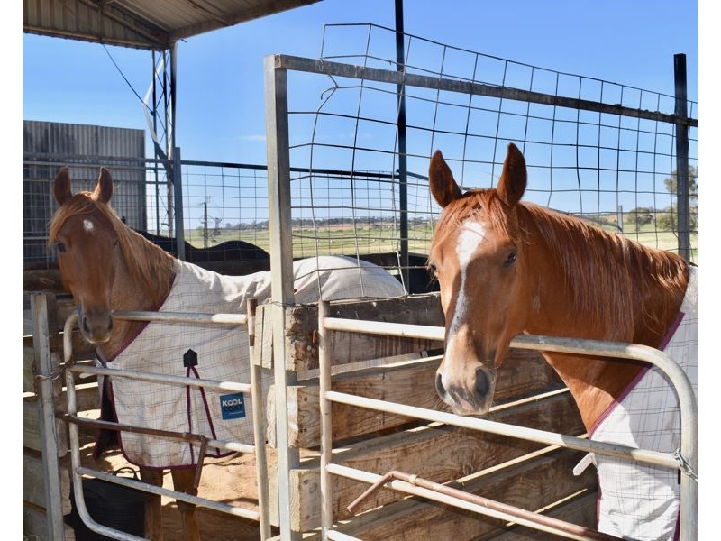 249 The Point Road, Jervois SA 5259