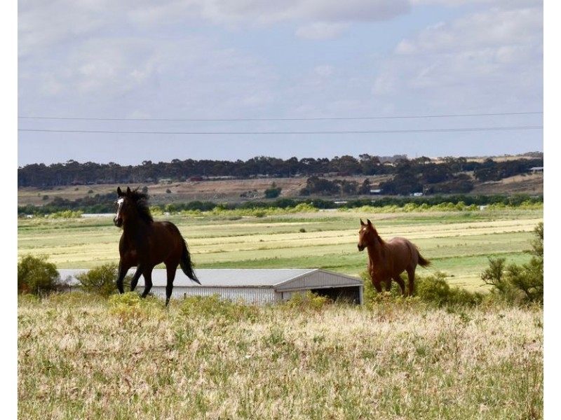 249 The Point Road, Jervois SA 5259