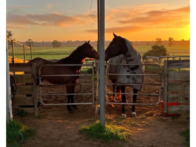 249 The Point Road, Jervois SA 5259