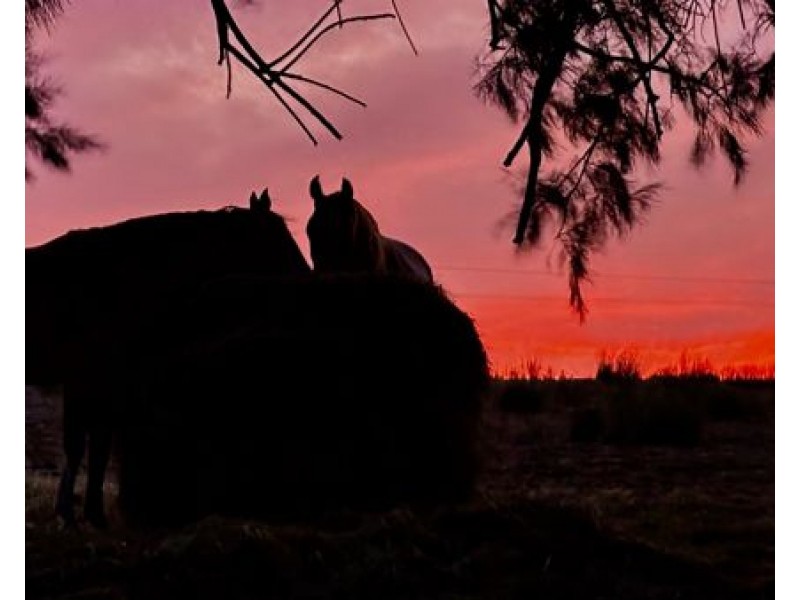 249 The Point Road, Jervois SA 5259