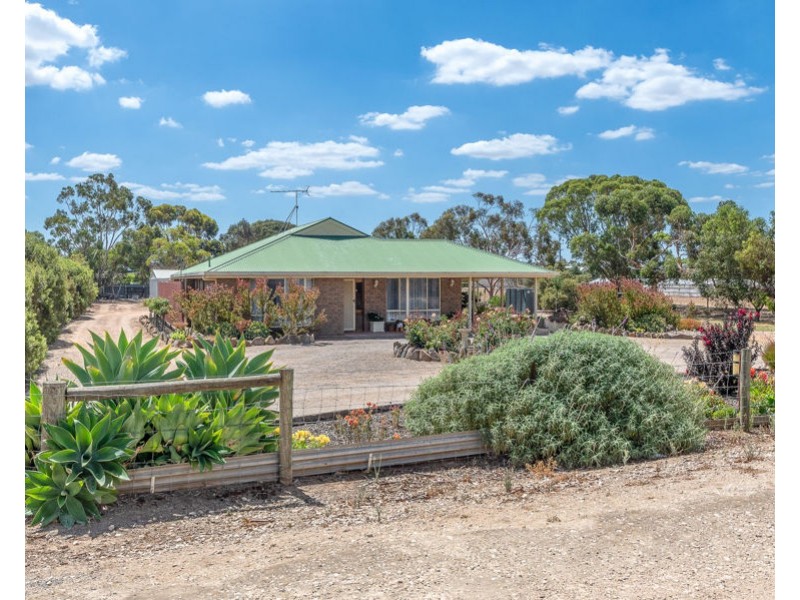 49 Prosperity Grove, Murray Bridge SA 5253