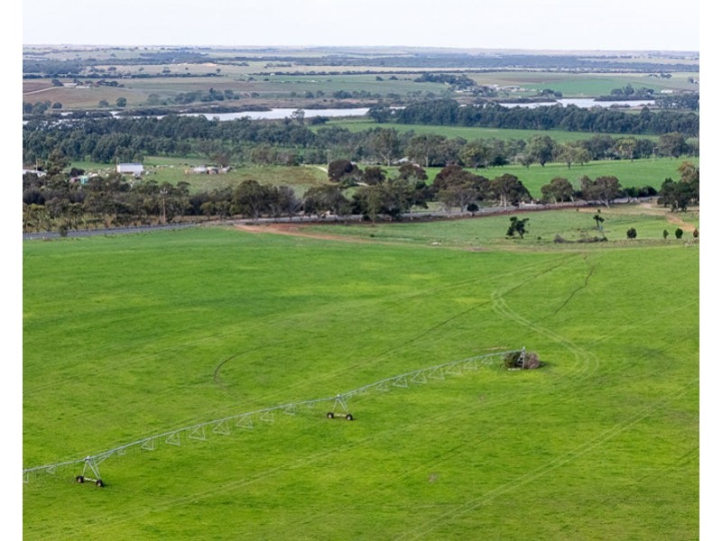1263 Jervois Road, Woods Point SA 5253
