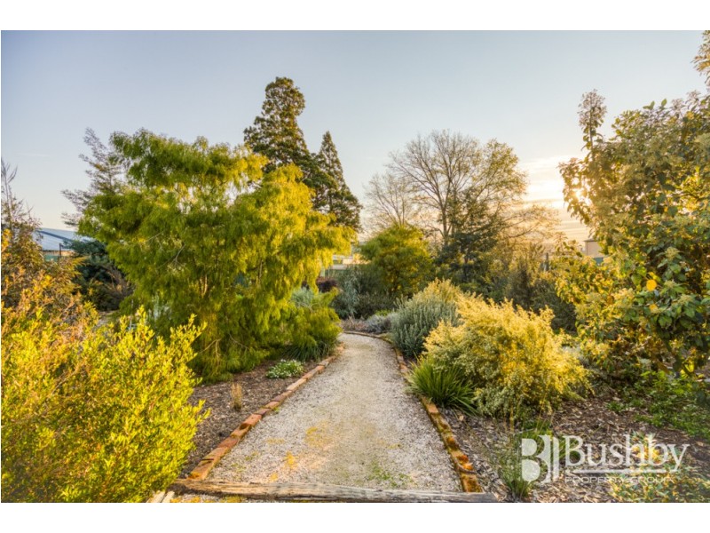 9 Ray Street, Invermay TAS 7248