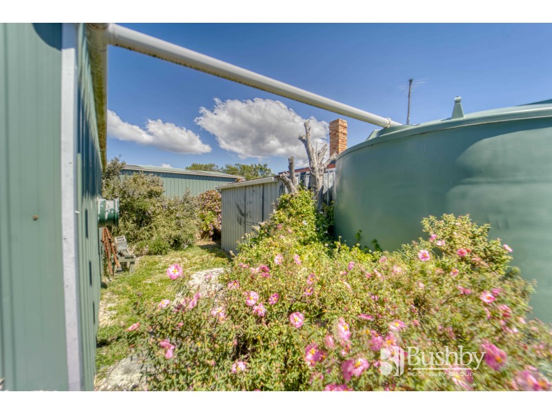 24 Main Road, Musselroe Bay TAS 7264