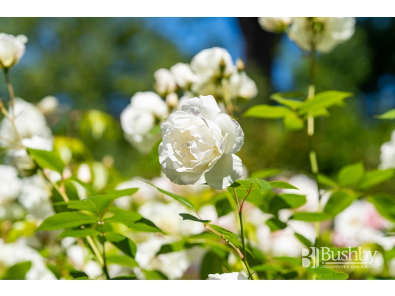 22 Normanstone Road, South Launceston TAS 7249