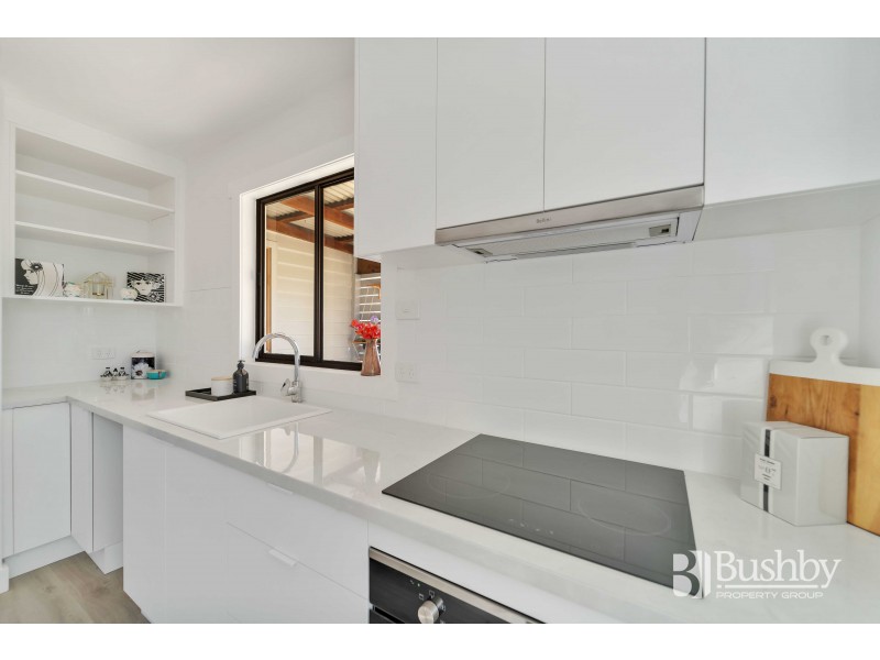 14 Ray Street, Invermay TAS 7248