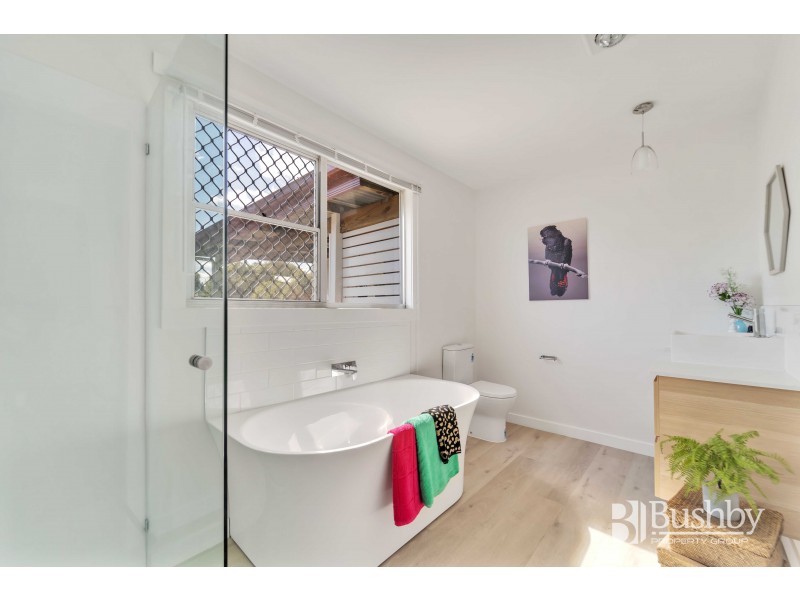 14 Ray Street, Invermay TAS 7248