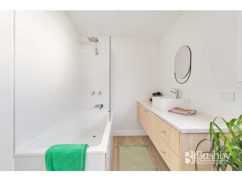 14 Ray Street, Invermay TAS 7248