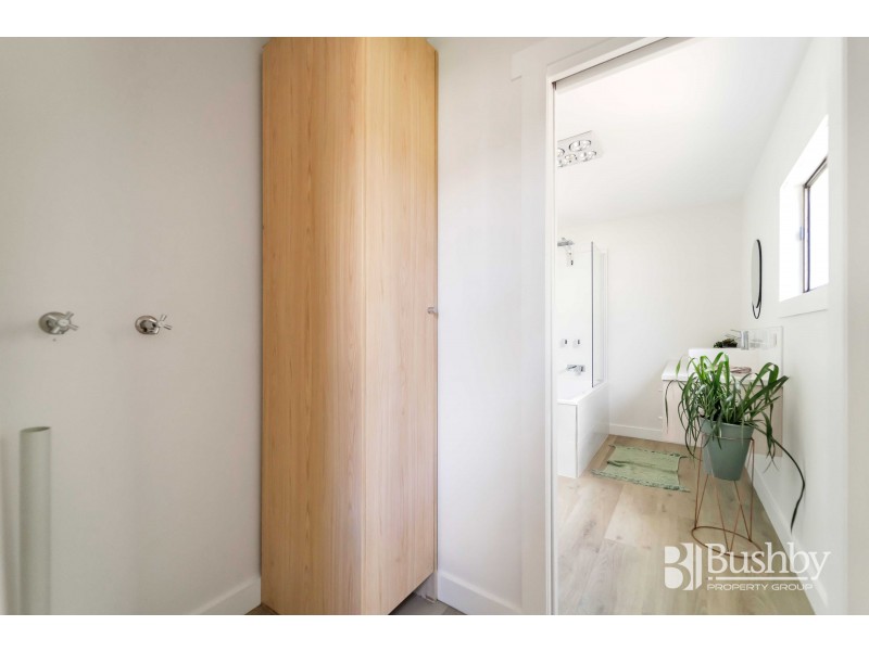 14 Ray Street, Invermay TAS 7248