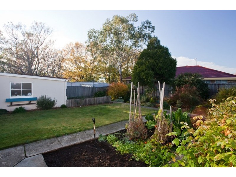 49 Bryan Street, Invermay TAS 7248