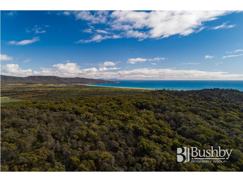 28 Ocean View Drive, Greens Beach TAS 7270