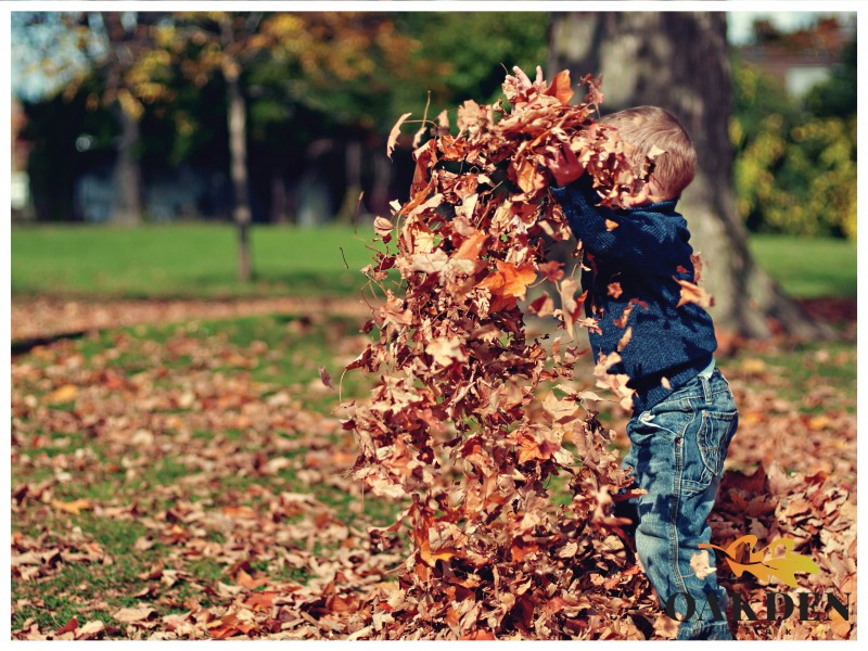 190 Oakden Park, Youngtown TAS 7249