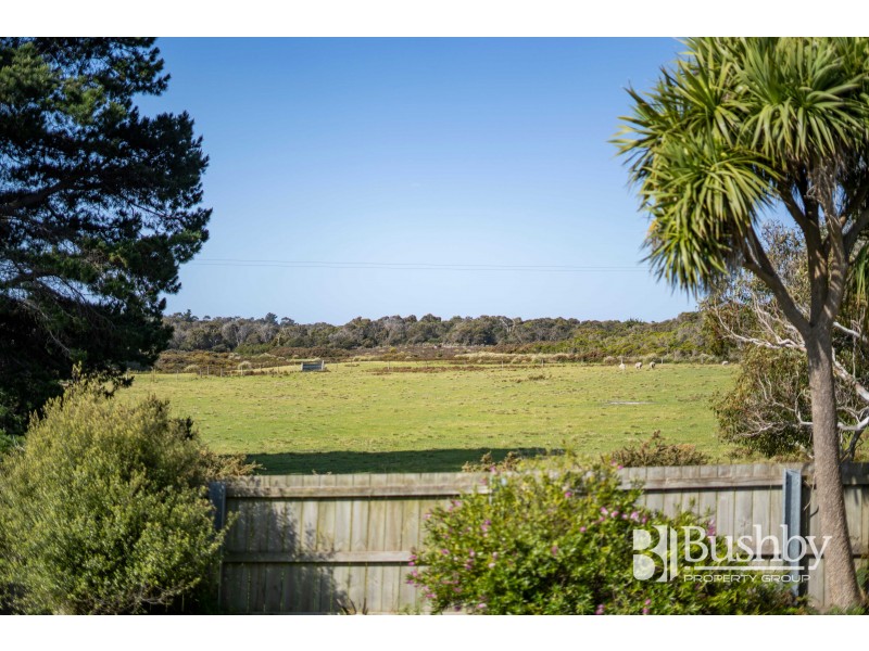 26 McKenzie Drive, Low Head TAS 7253