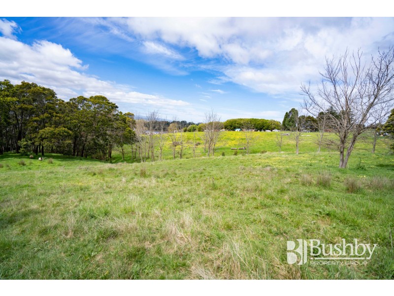 6 McEwans Road, Legana TAS 7277