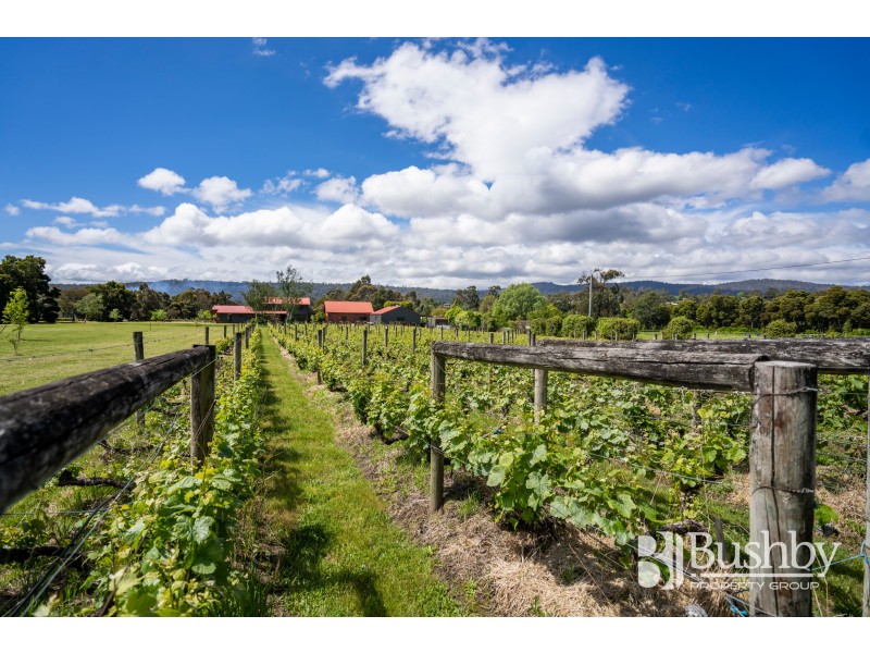 72 Nobelius Drive, Legana TAS 7277