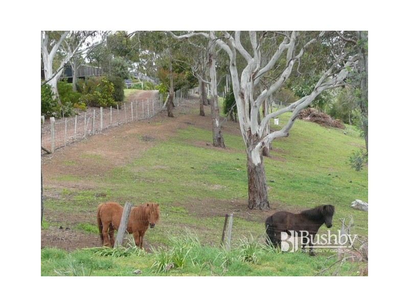 203 Rosevears Drive, Rosevears TAS 7277