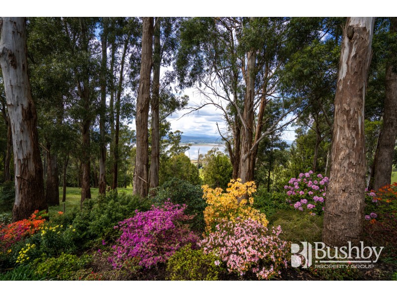 203 Rosevears Drive, Rosevears TAS 7277