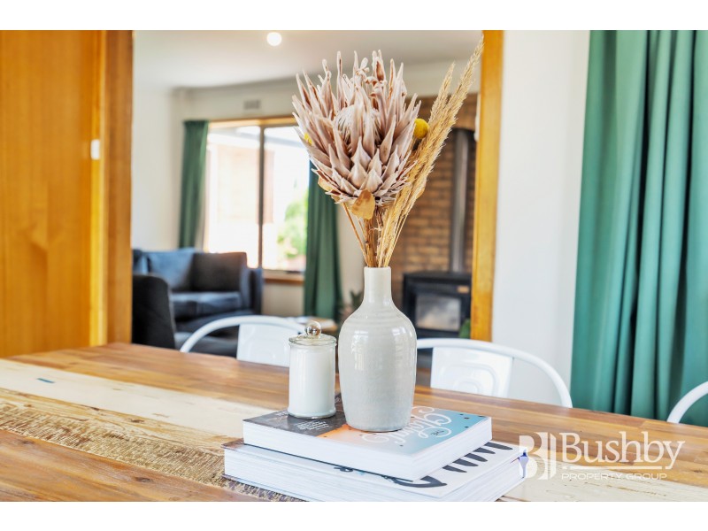 29 Ronneby Road, Newnham TAS 7248