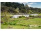 246 Mill Road, Perth TAS 7300