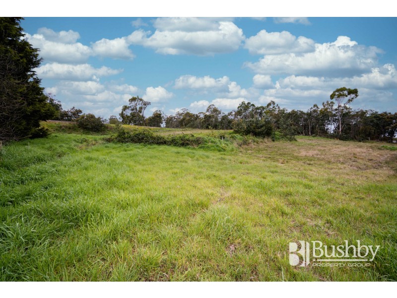 246 Mill Road, Perth TAS 7300