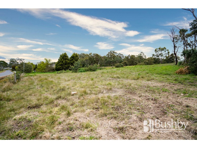 246 Mill Road, Perth TAS 7300
