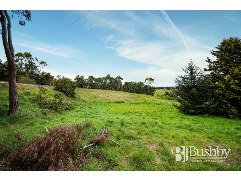 246 Mill Road, Perth TAS 7300