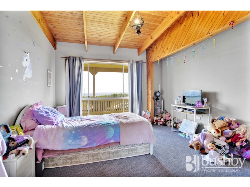 123 Bellbuoy Beach Road, Low Head TAS 7253