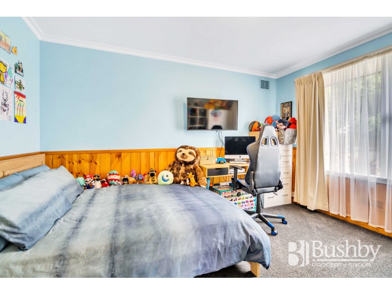 36 Peters Avenue, Summerhill TAS 7250