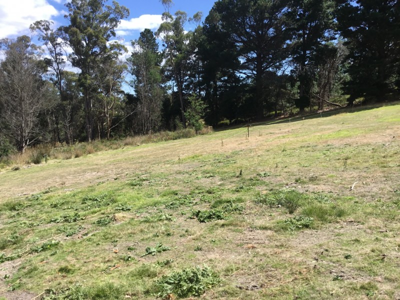 3541 West Tamar HIghway, Sidmouth TAS 7270
