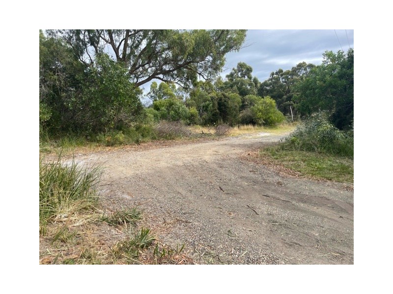 2 Walter Street, Bridport TAS 7262