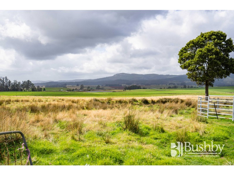 33317 Tasman Highway, Legerwood TAS 7263