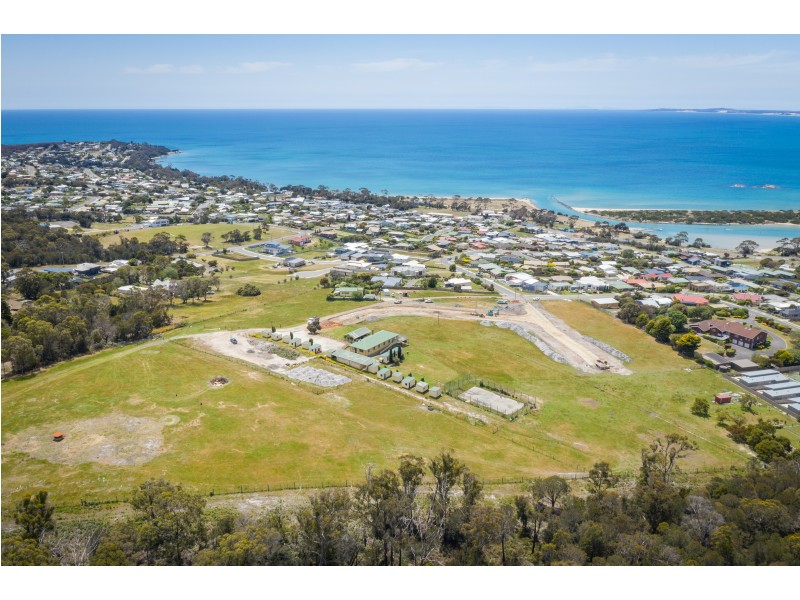 39 Frances Street, Bridport TAS 7262