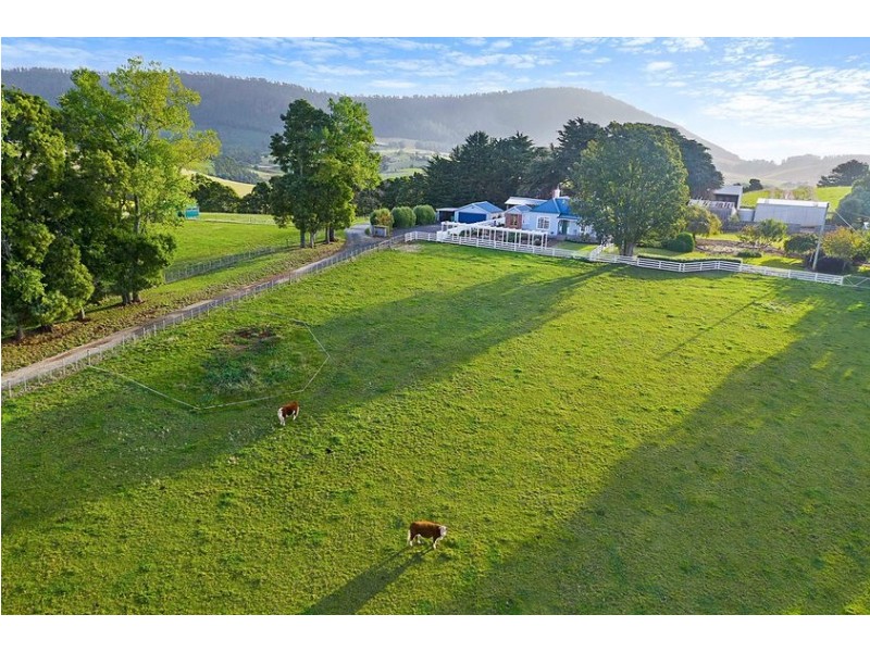 308 Sledge Track, Scottsdale TAS 7260