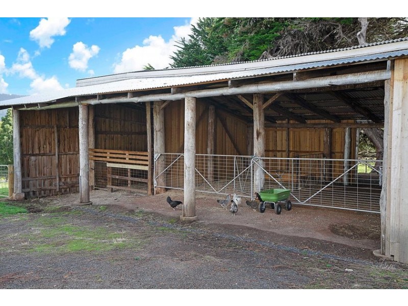 308 Sledge Track, Scottsdale TAS 7260