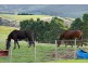 308 Sledge Track, Scottsdale TAS 7260
