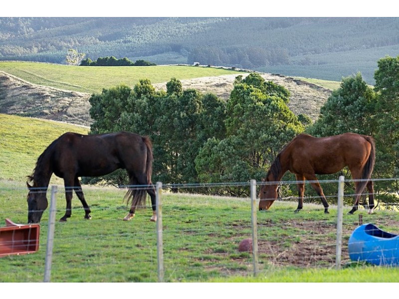 308 Sledge Track, Scottsdale TAS 7260