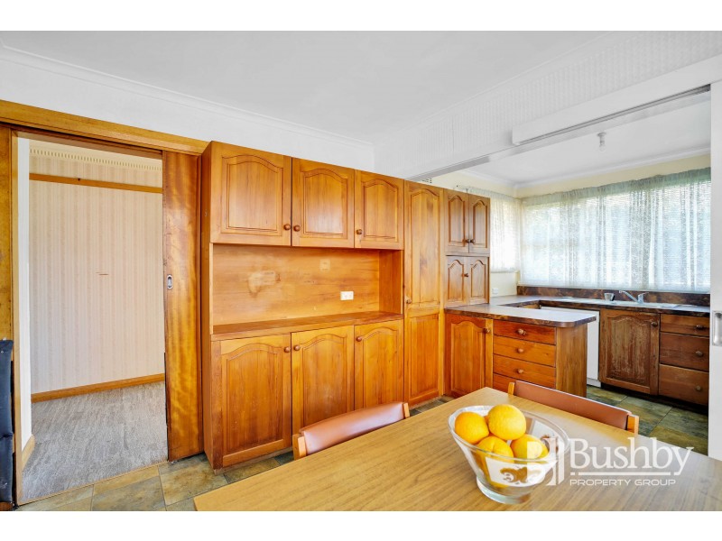 17 Karpaty Avenue, Newnham TAS 7248