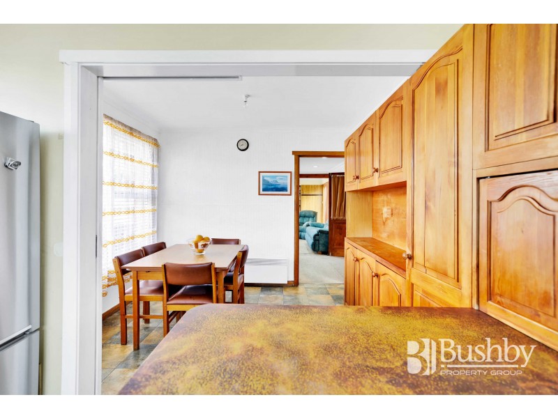 17 Karpaty Avenue, Newnham TAS 7248