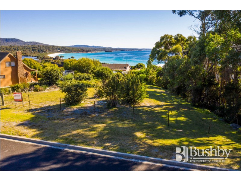 8 Wedge Court, Binalong Bay TAS 7216