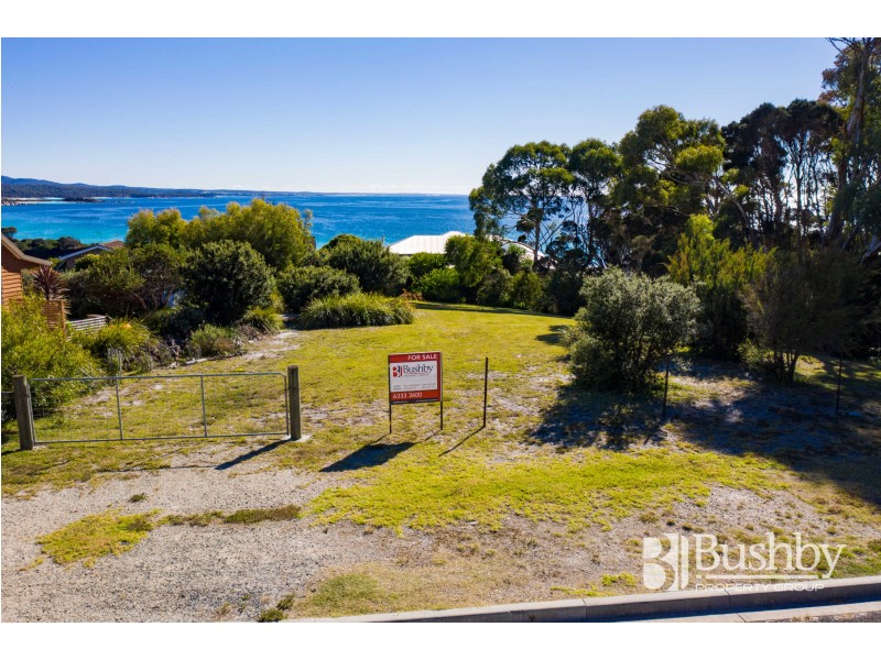 8 Wedge Court, Binalong Bay TAS 7216