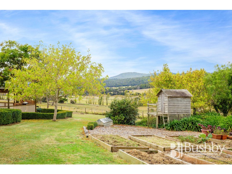 407 Los Angelos Road, Swan Bay TAS 7252