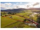 495 Meander Valley Road, Hadspen TAS 7290