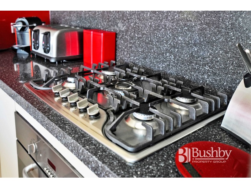 19 Albion Street, Invermay TAS 7248