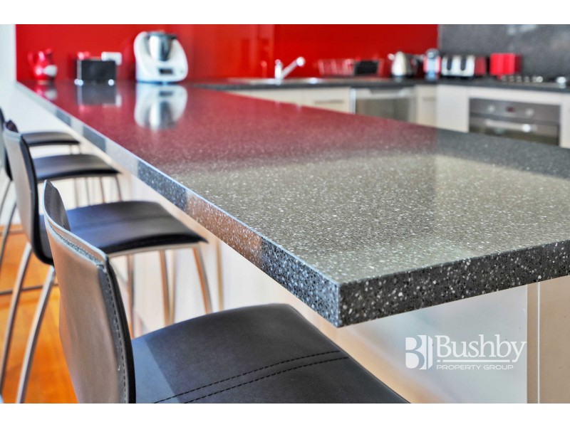 19 Albion Street, Invermay TAS 7248